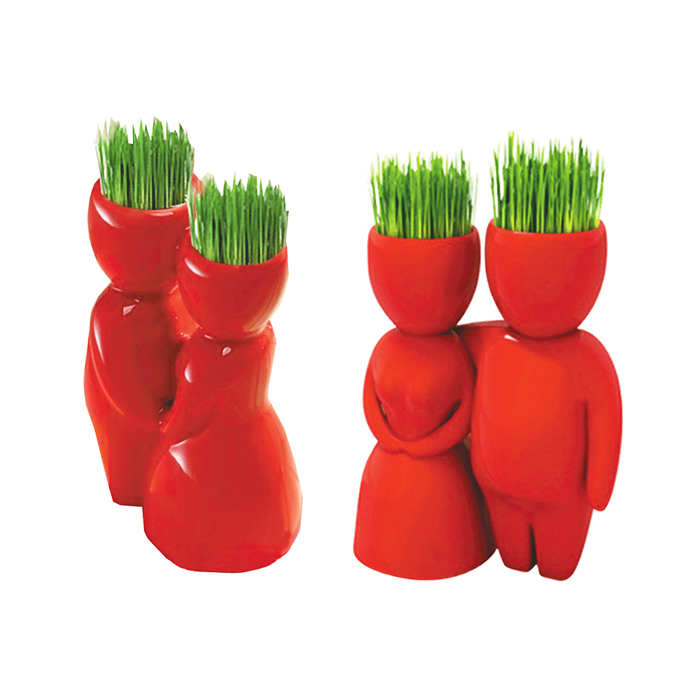 ชุดตุ๊กตาปลูกต้นไม่ในกระถาง รูปคู่รักสีแดง 2 แบบ งานDIYรุ่น แค่รดน้ำต้นไม้ก้อโต น่ารักมาก